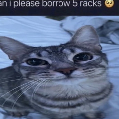 sodamnfar
