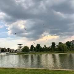 ما تيسر من سوره هود ( صلاة العشاء) - عبدالله خالد