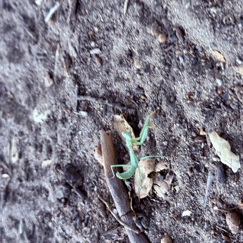 Spaces In Between w/ Introspekt 150825