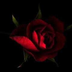 01_Resistance (Mix)