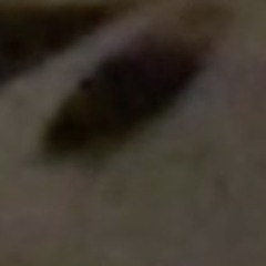 Glock40spazz Remix Featuring: YShape