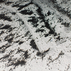 Conrad Pack - Vertical Hold. SEMANTICA194