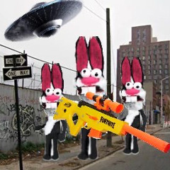 BUNNY OPS