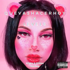 Omar Courtz Vs Avicii - QUEVASHACERHOY x Levels (Kiigho & Ghinoz Mashup) [FILTERED FOR COPYRIGHT]