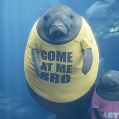 Ibiza Big Room House Funky as Fook Mix!!!!