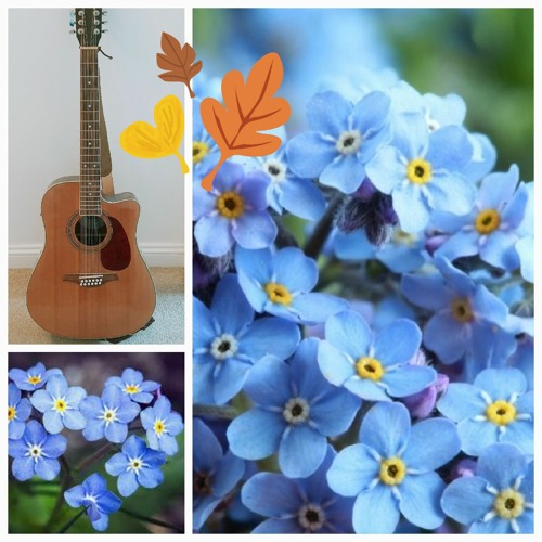 12 String Sorrow (Tribute to my dog)