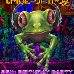 Tribe of Frog DJ Competition 2025 – Raiido – Psytrance
