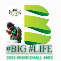BIG LIFE 2023 DANCEHALL MIX