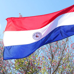 A TROPA DO PARAGUAY - MICHE23, MC NEGRITIN (SKORPS)