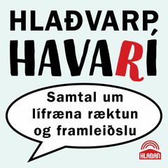 Hlaðvarp Havarí – samtal um lífræna ræktun og framleiðslu – #1 – Eygló Björk Ólafsdóttir