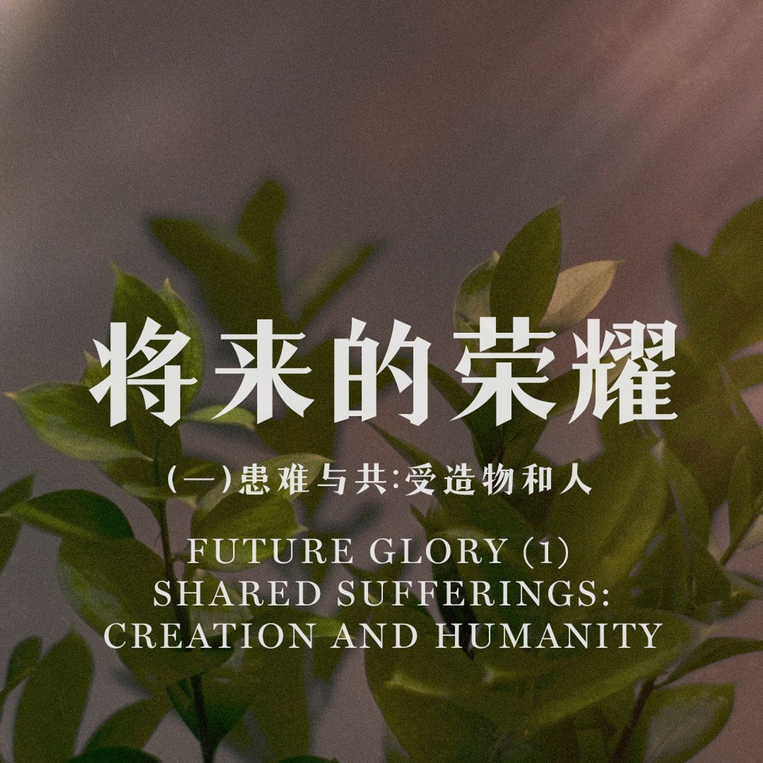 07/07/2024 【罗马书】将来的荣耀（一）患难与共：受造物和人（罗 8:18-25）——王唯权 牧师 episode artwork