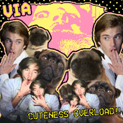 cuteness overload