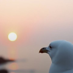 And what a love it was