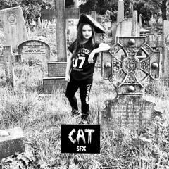 Stay Young Cat SFX