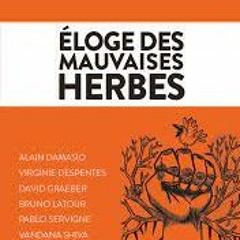 Hyphe? d'Alain Damasio