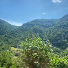 Arnold Schoenberg: Op. 2 4 Lieder, IV. Waldsonne