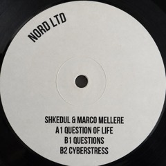 NORDEDT002 / Shkedul & Marco Mellere - Questions EP