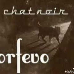 Orfev- CHAT NOIR