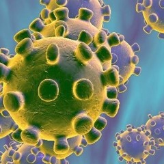 PepeDank - KoronA(BATALHA BEAT ROYALE)