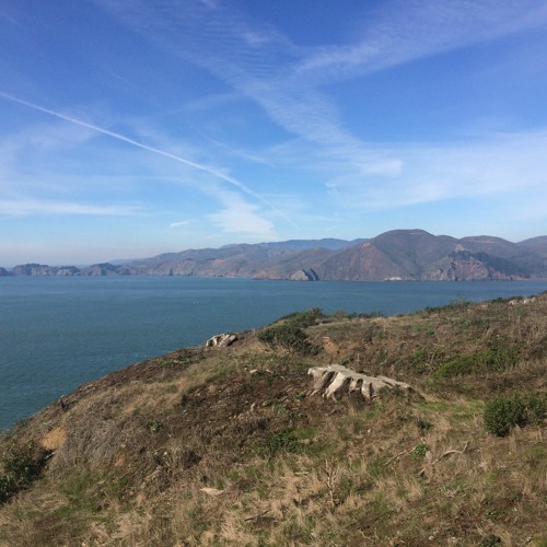 Stream Cherry Picking by Carlos Tiu Listen online for free on SoundCloud