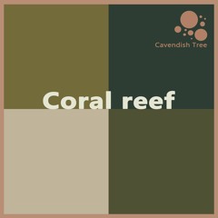 Cavendish Tree - Coral Reef