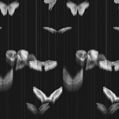 Eden - Too Good To Be True (lyrics) مترجمة (mp3)