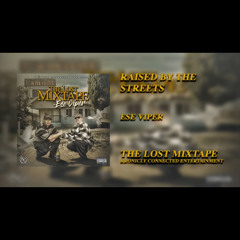 Raised By The Streets-Ese Viper
