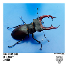 ZOO058 : Ricciardo (BR) - Do It (Original Mix)