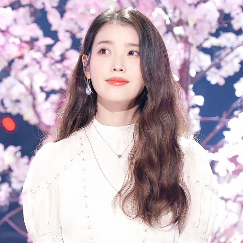 lilac iu