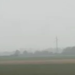 cute_home_live_with_martini