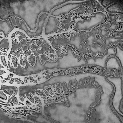 human fancy divine entity