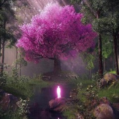 Dance Monkey (Tones and I Cover)