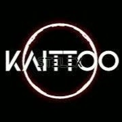 Stelex_-_ KAITTOO