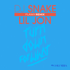 Turn Down For What (FLAWX Hard Techno Remix)