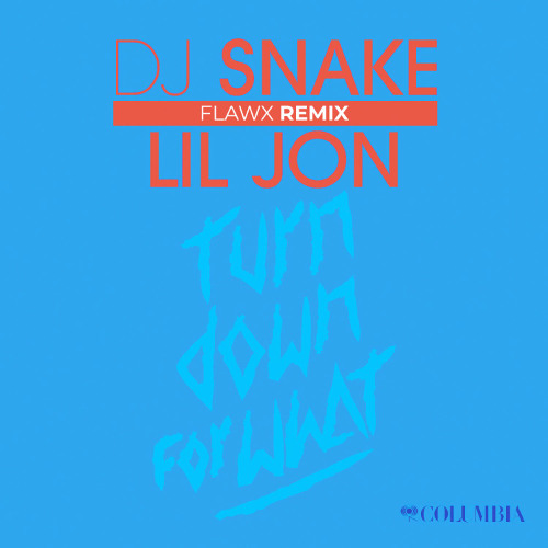 Turn Down For What (FLAWX Rave Remix)