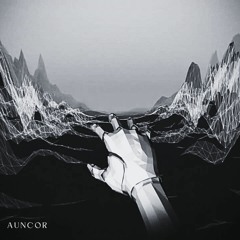 Porter Robinson - Sad Machine (Auncor Flip)