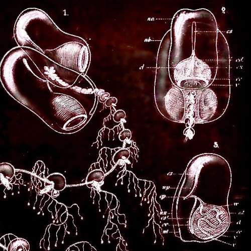 PRISMATUM_01 (SIDE A)