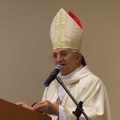 30 Anos - Homilia de Dom Dulcênio Fontes de Matos