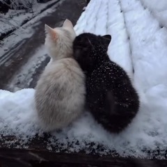 stay safe for me ⋆ amanda allen