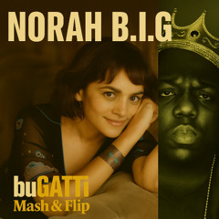 NORAH B.I.G. (buGATTi Mash & Flip)
