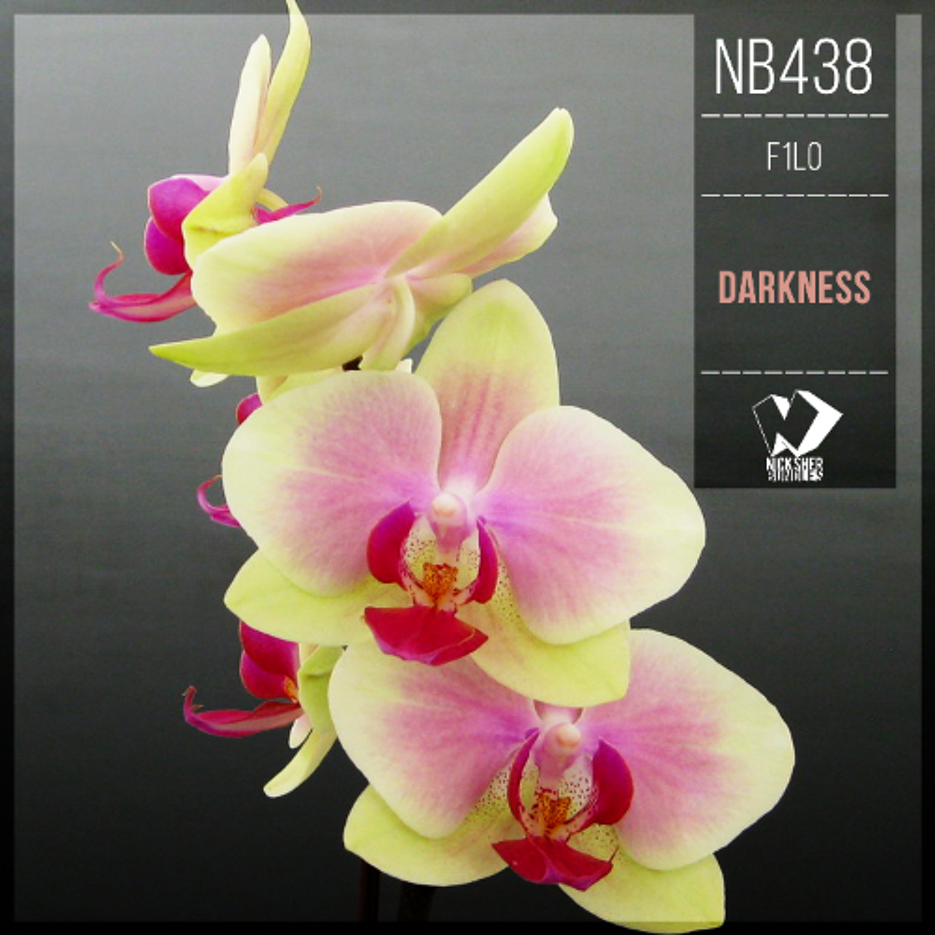 F1lo - Darkness (Original Mix) episode artwork