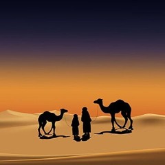 Amr Diab - Nour El Ein (X-Ader Remix) - Suported by Aaron Sevilla, BEARD 2 BEARD