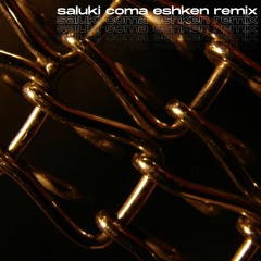 SALUKI - Coma (berserkrr remix)