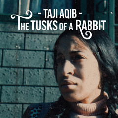 The Tusks of a Rabbit