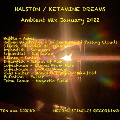 Ketamine Dreams / NSR 20 / January 2022
