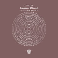 Thom Rich - Expression of Sound (Amir Telem Remix)