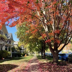 Tập Sang Nhạc#2- Tommy Hollend