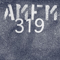 AMFM I 319