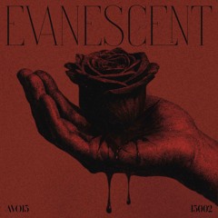Avo13 - Evanescent