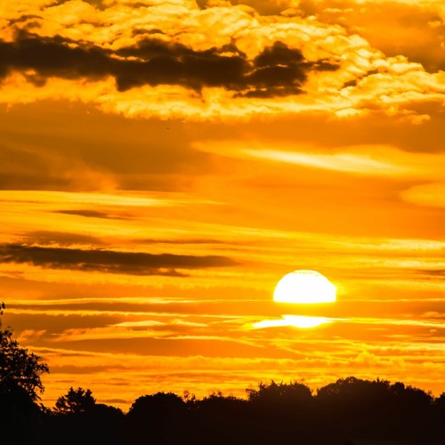 Stand Up In Morning (Franken Edit) for Free